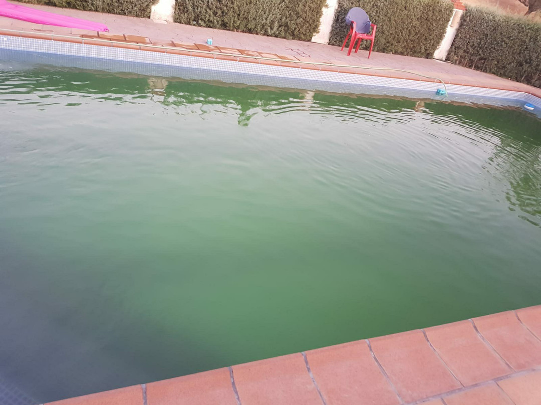 Alojamiento Rural Las Dehesillas主图