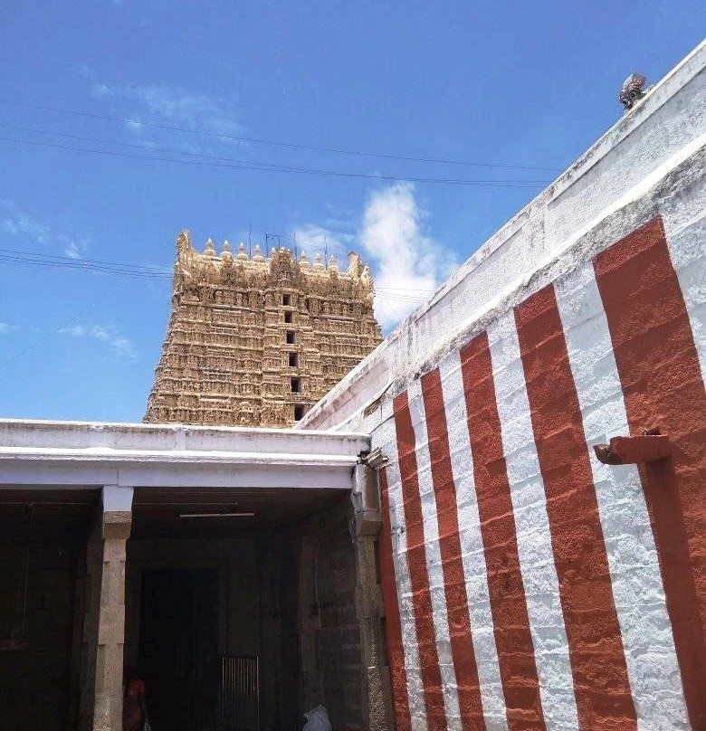Sankara Narayana Swamy Temple景点图片