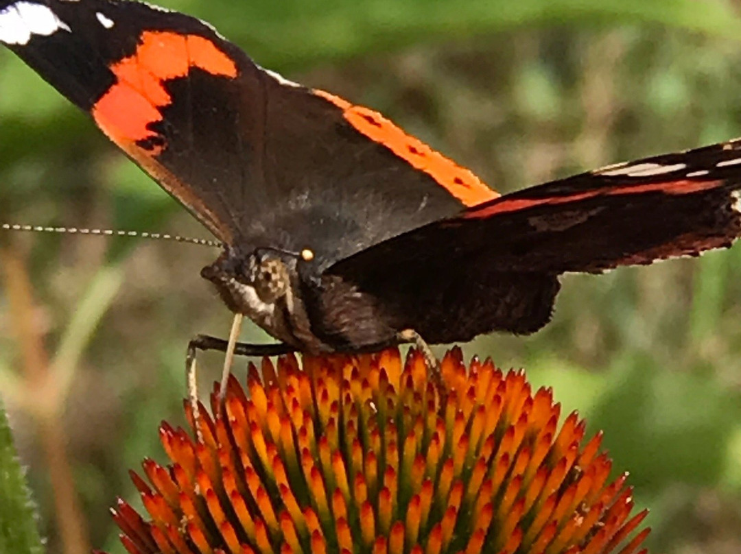 A.Vogel Tuinen景点图片
