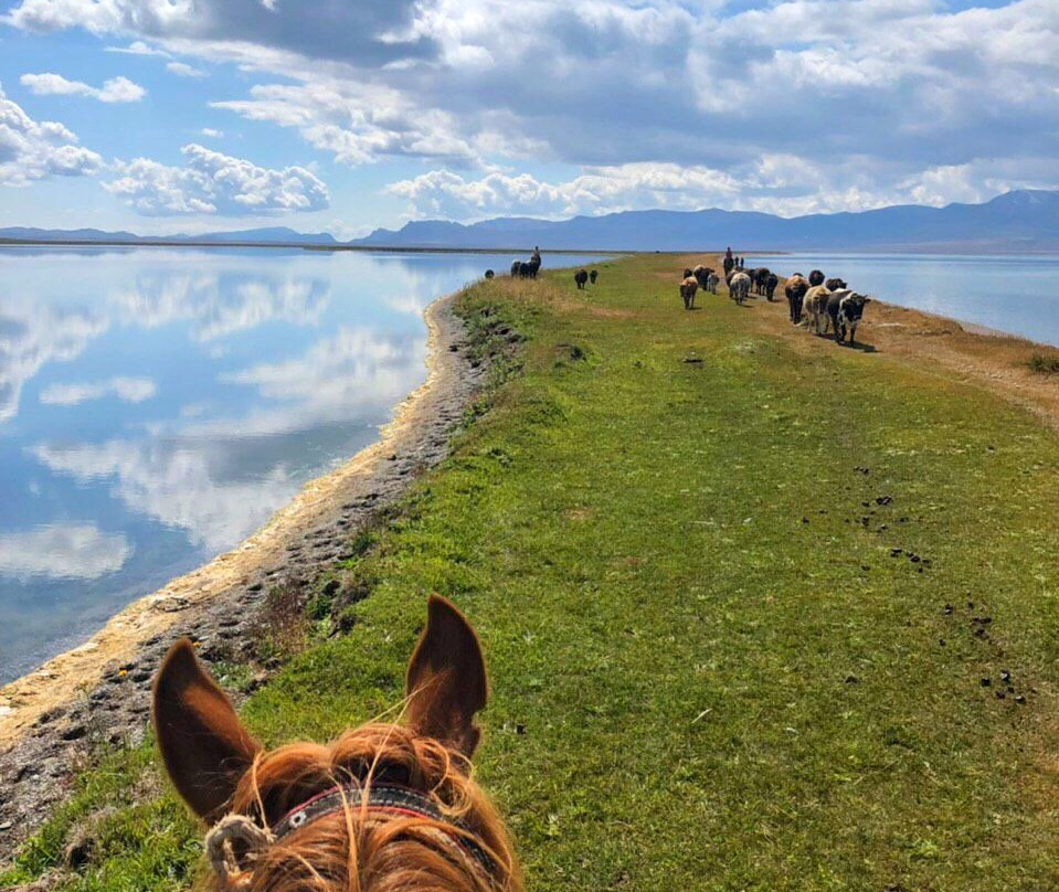 Song Kol Lake-Naryn Province必去景点