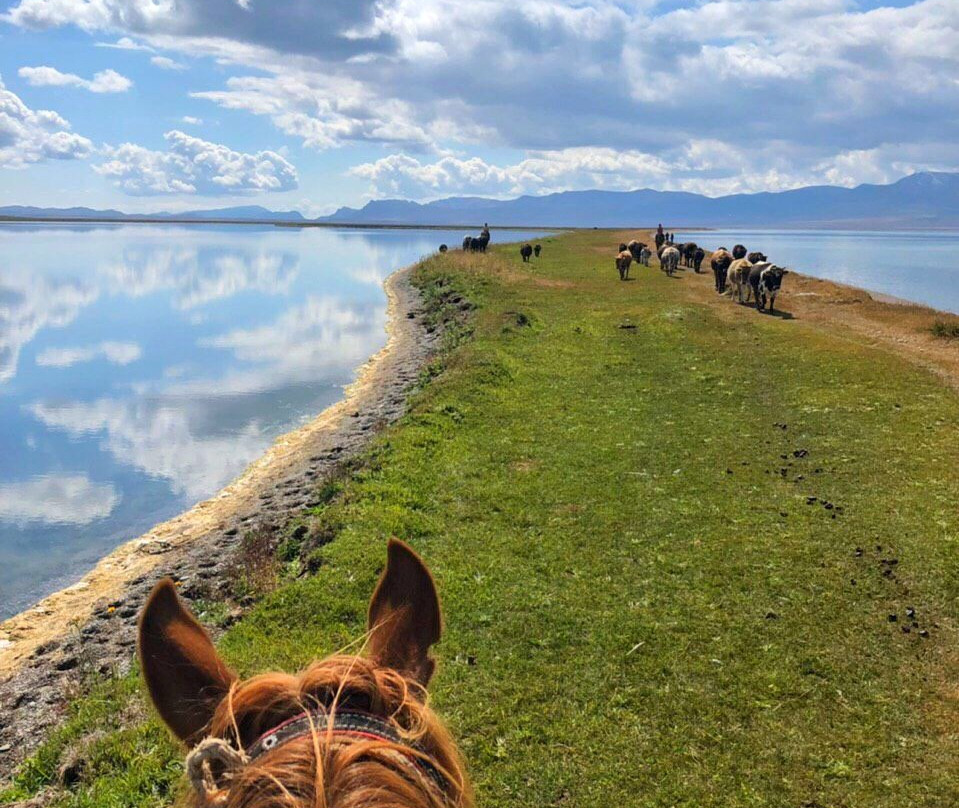 Song Kol Lake景点图片