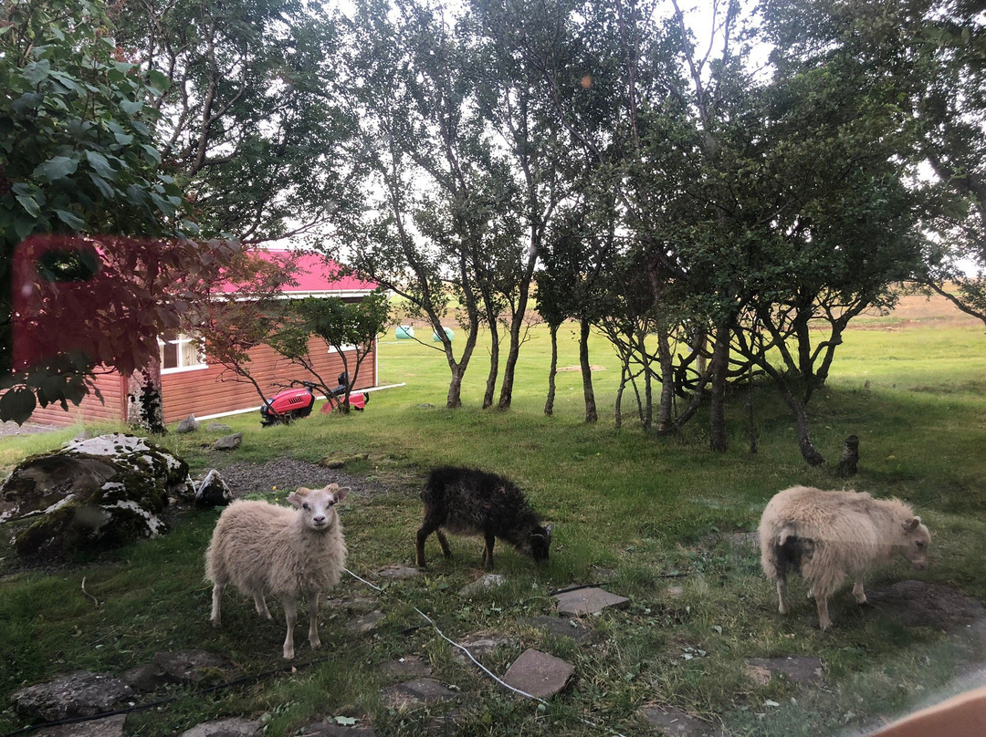 思佳拉菲尔宾馆主图