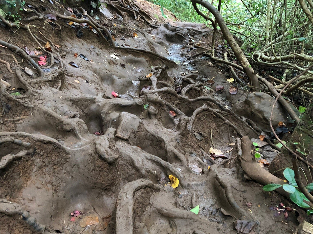 Maunawili Falls-科纳必去景点