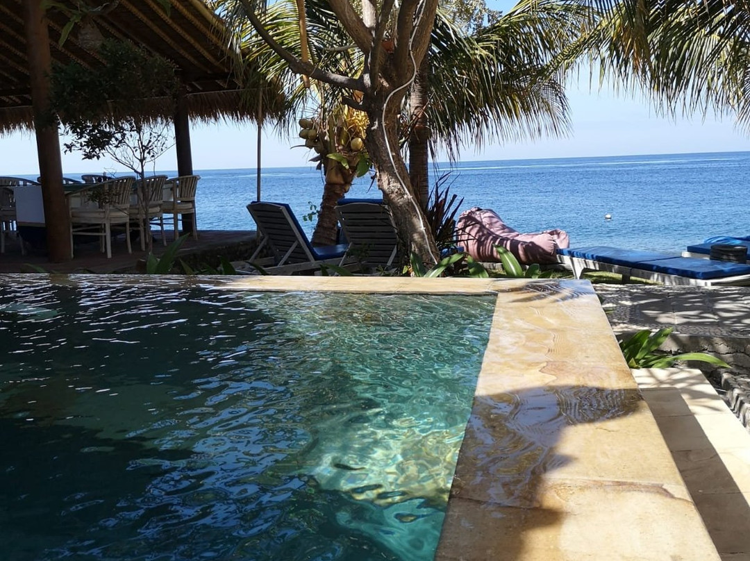 娜莉妮度假村主图