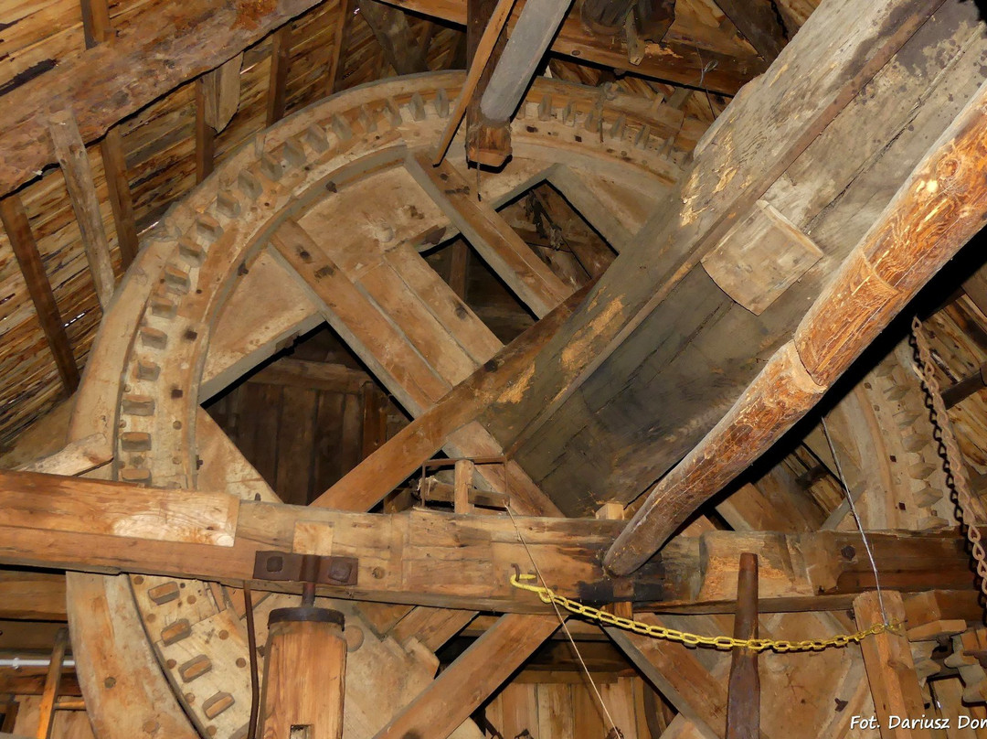 Muzeum Młynarstwa i Rolnictwa w Osiecznej景点图片