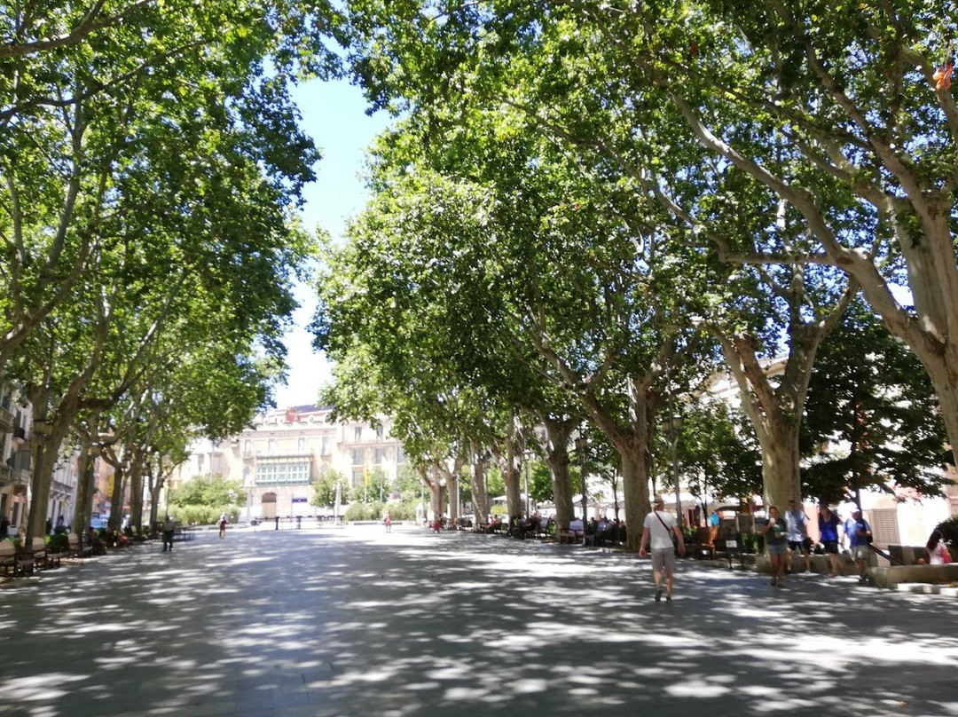 Rambla De Figueres景点图片