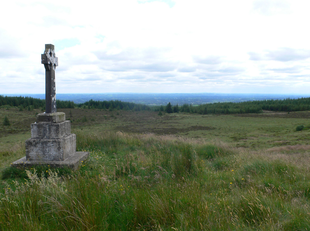 Bragan Penal Cross