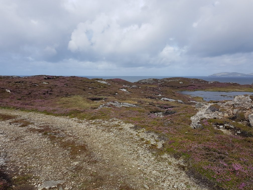 Inishbofin Ferry景点图片