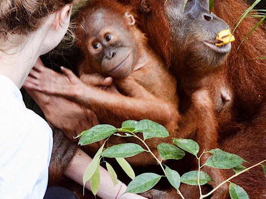 Gilatravels-棉兰必去景点