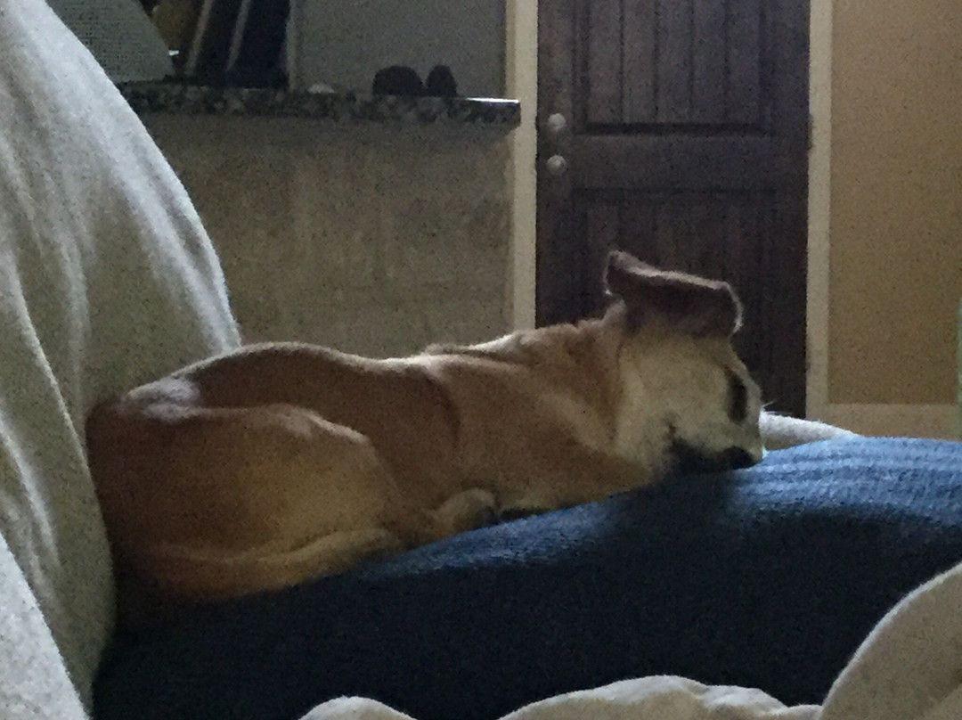 Bounce Zone-博蒙特必去景点