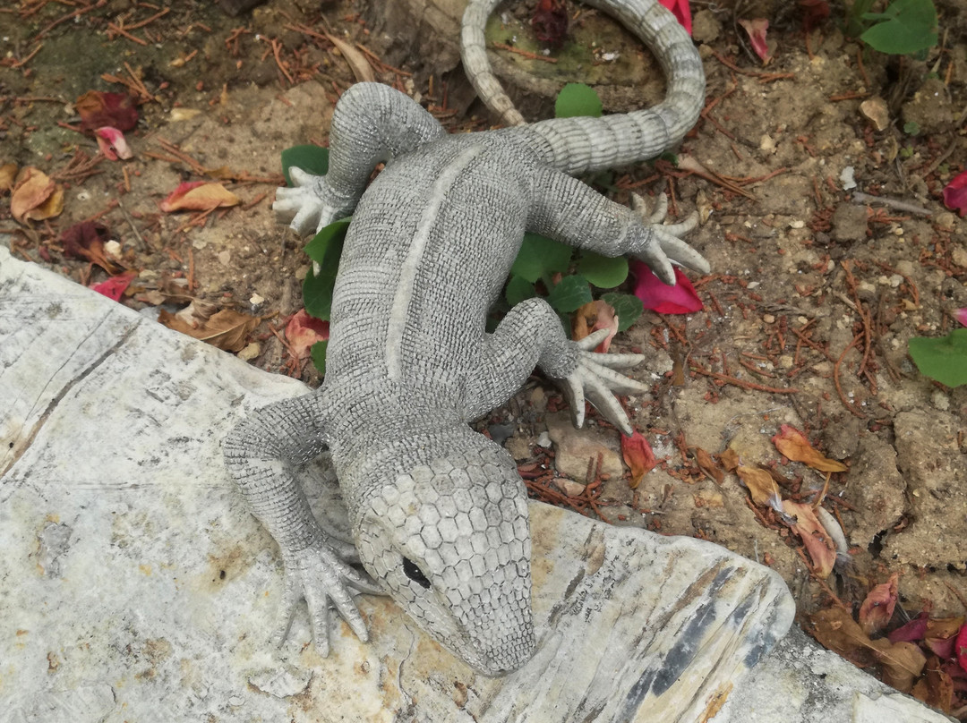 Villa Ela Appartements - Appartements Marie Oder Leon主图