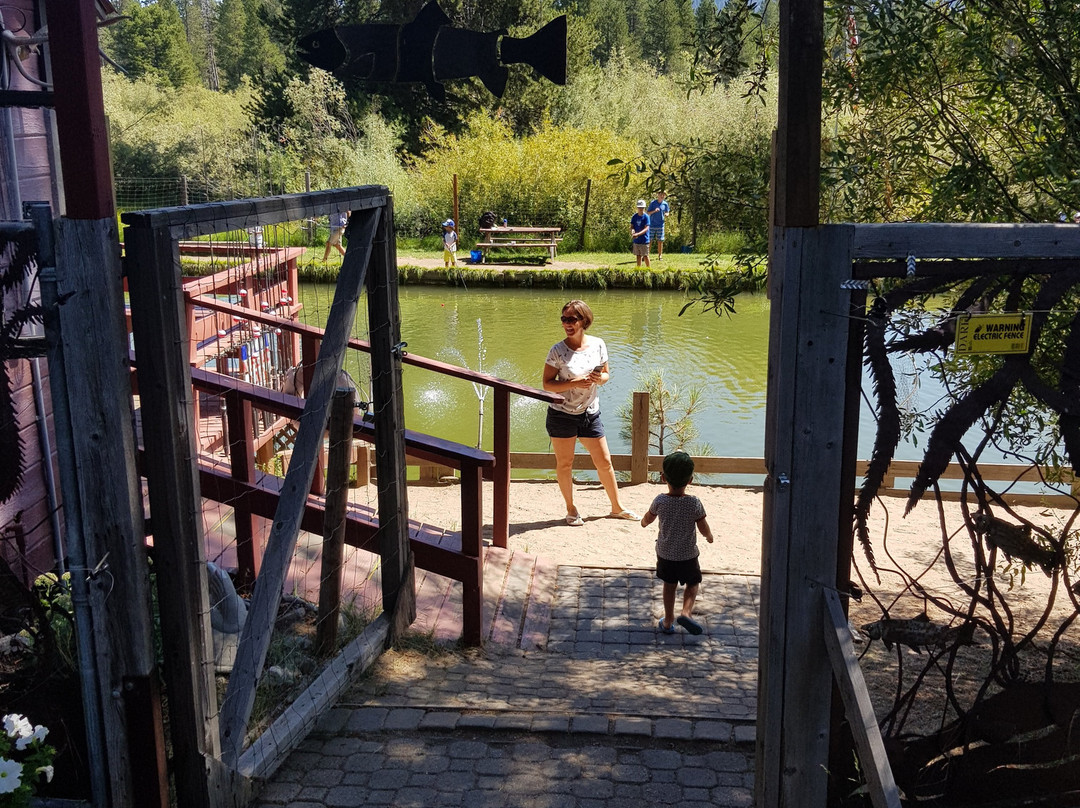 Tahoe Trout Farm-南太浩湖必去景点
