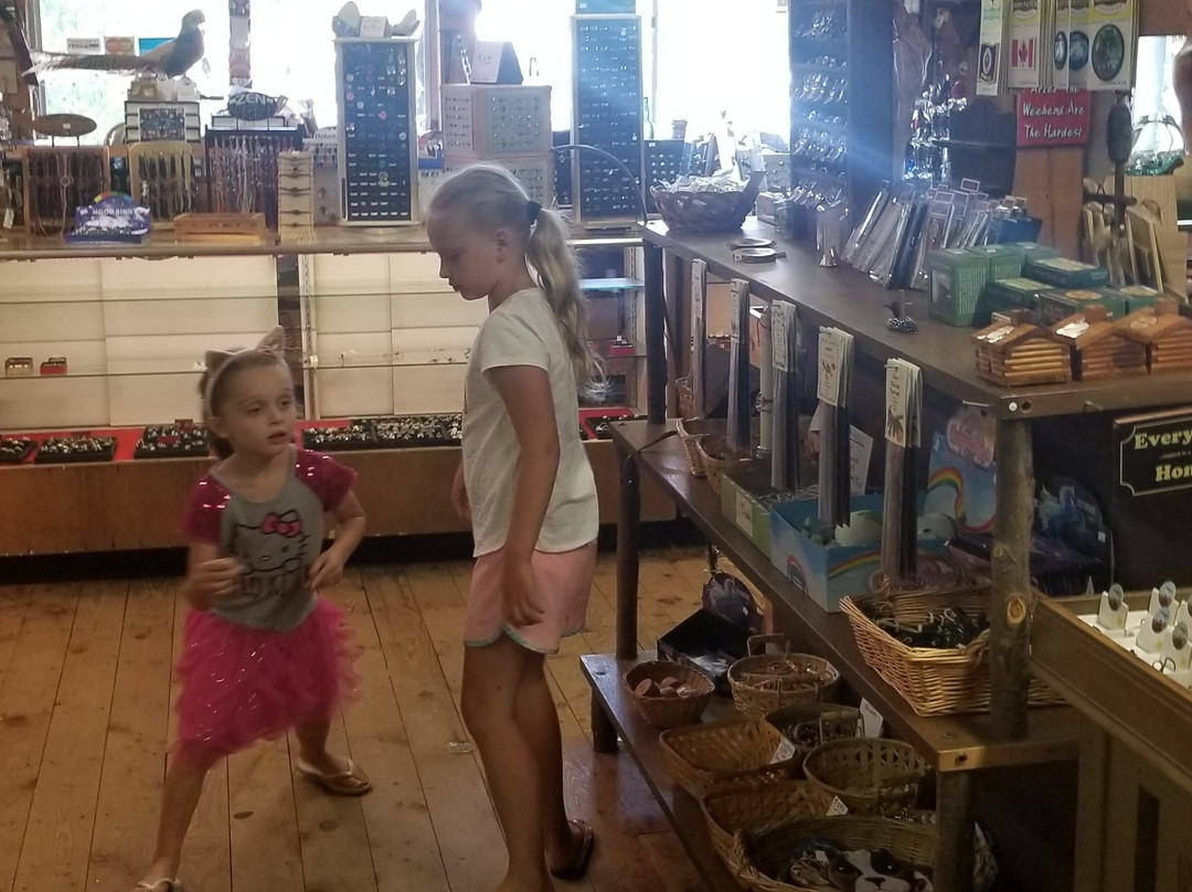 Tom's Historic Logging Camp-德卢斯必去景点