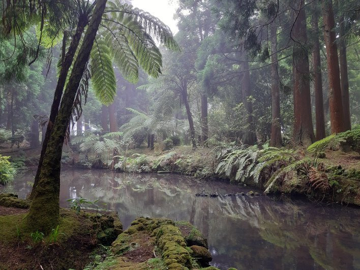Parque Florestal das Sete Fontes景点图片