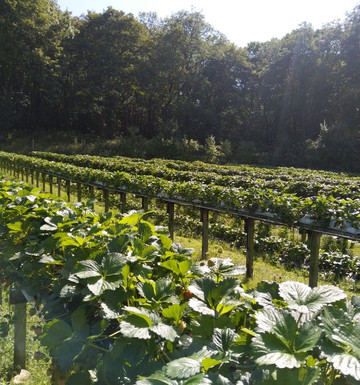 Leapers Rock Orchard-Over Kellet必去景点