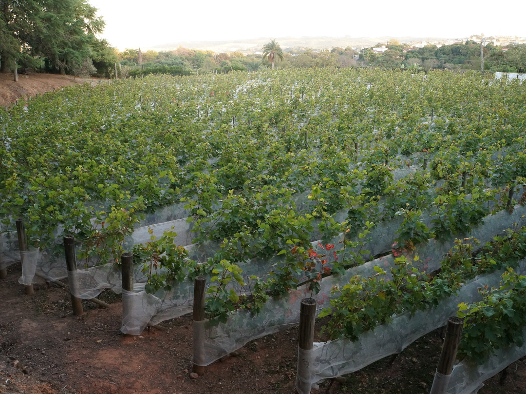 Pousada do Vinhedo主图