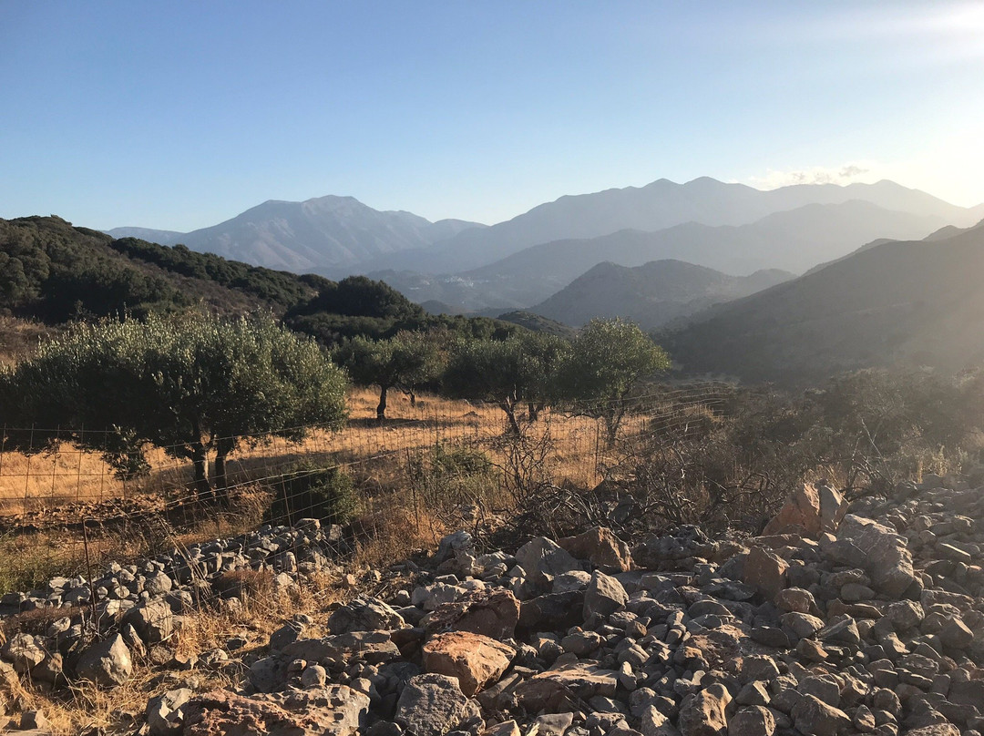 Fourni Horses-Fourni必去景点