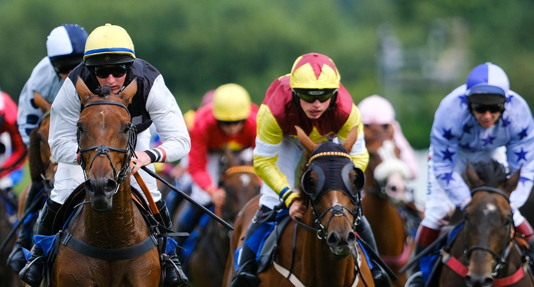 Market Rasen Racecourse景点图片