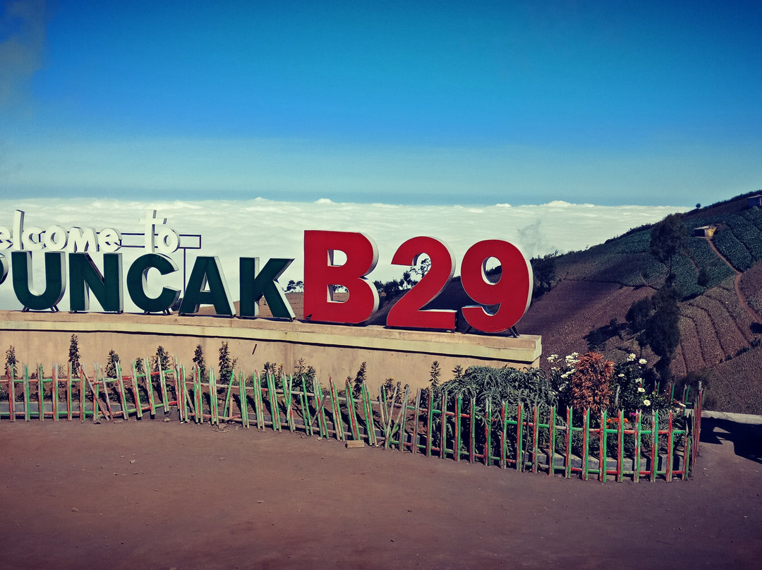 Puncak B29-Lumajang必去景点