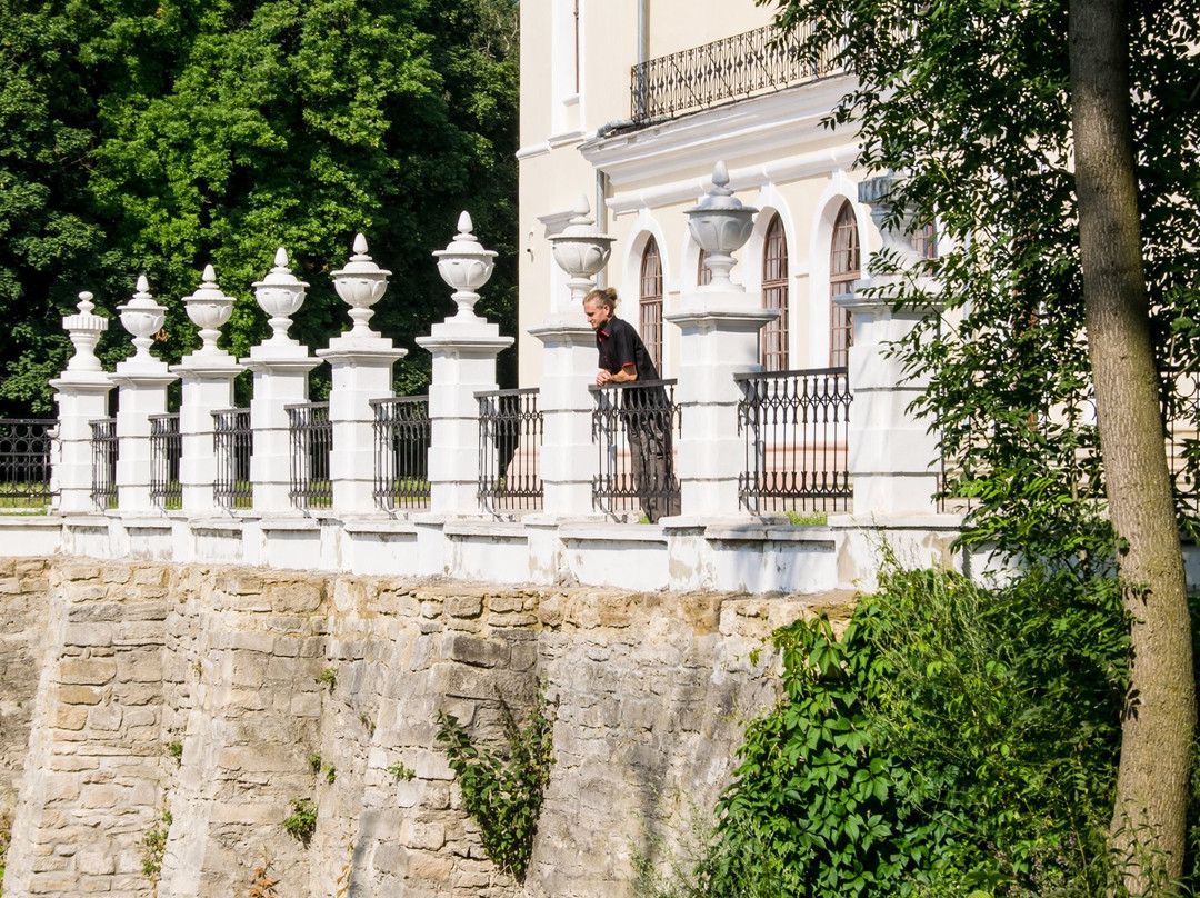 Vishnevetskikh Palace-Vishnevets必去景点
