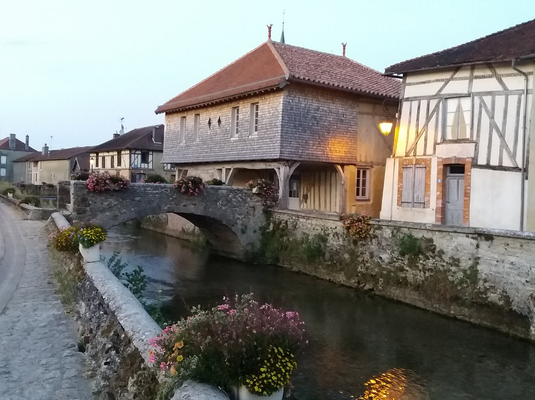 Pont Henry IV-Soulaines-Dhuys必去景点