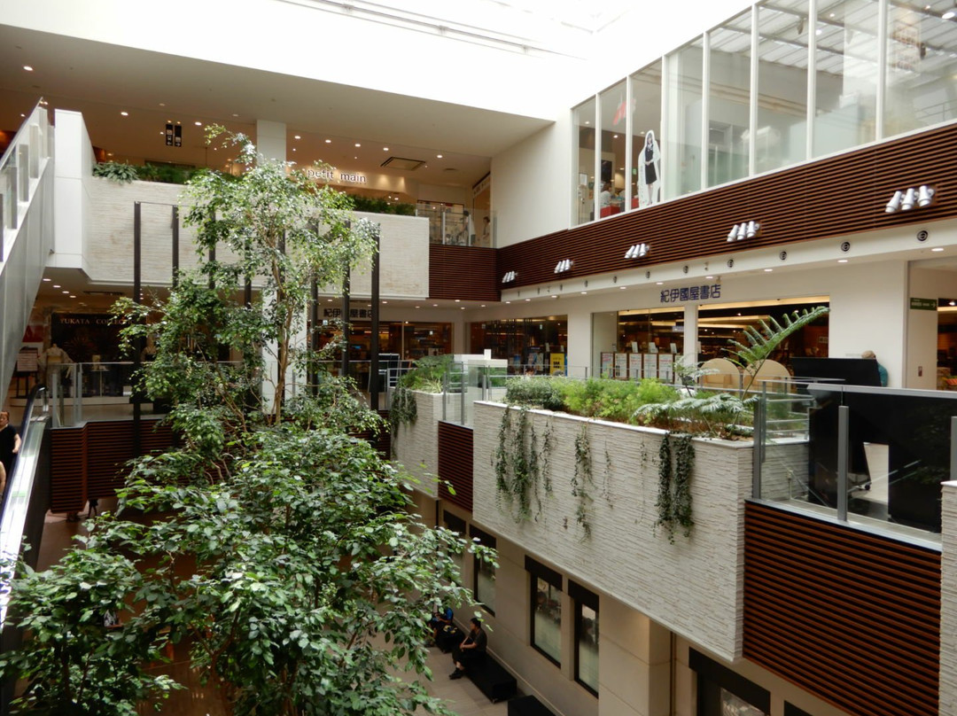 Nagareyama Otakanomori S･C-流山市必去景点