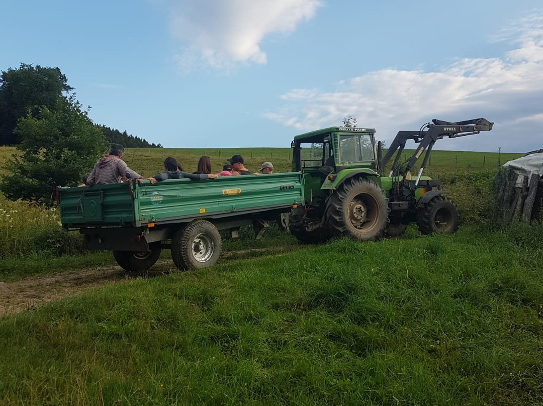 Bauernhofpension Haus Hermes主图