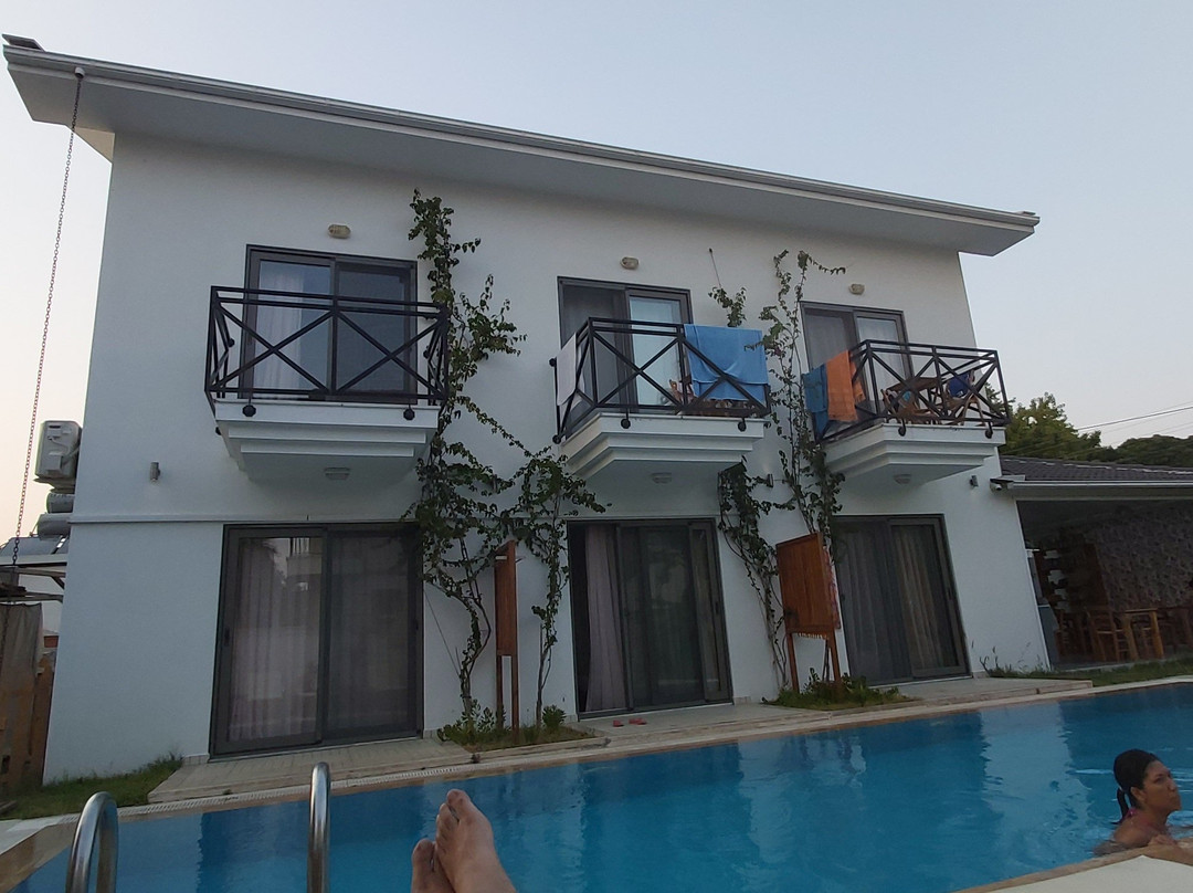 Casa Pallet Hotel主图