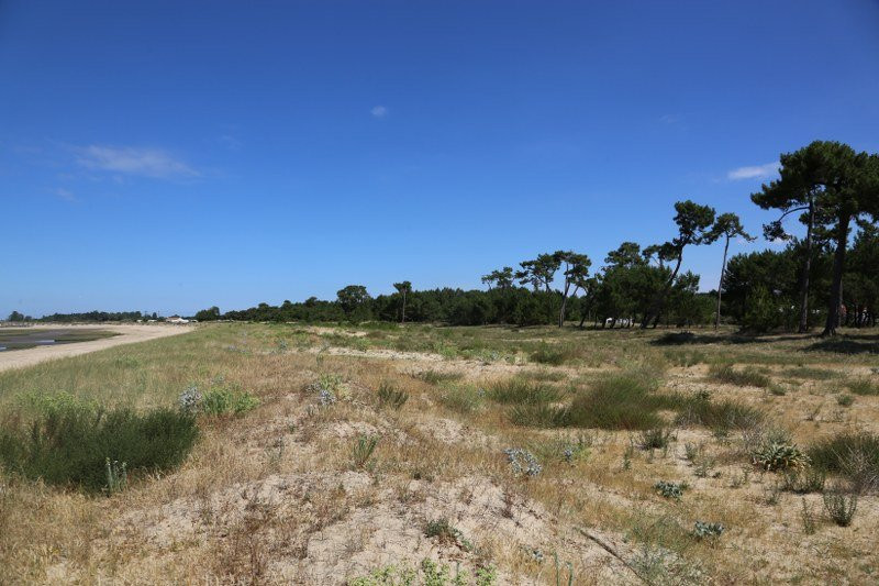 Hôtel Le Grand Large主图