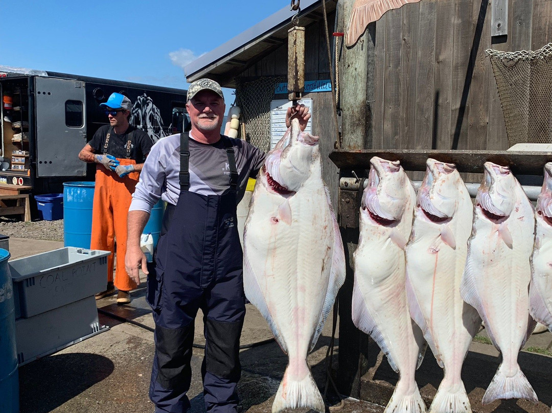 Falcon Charters-荷马必去景点
