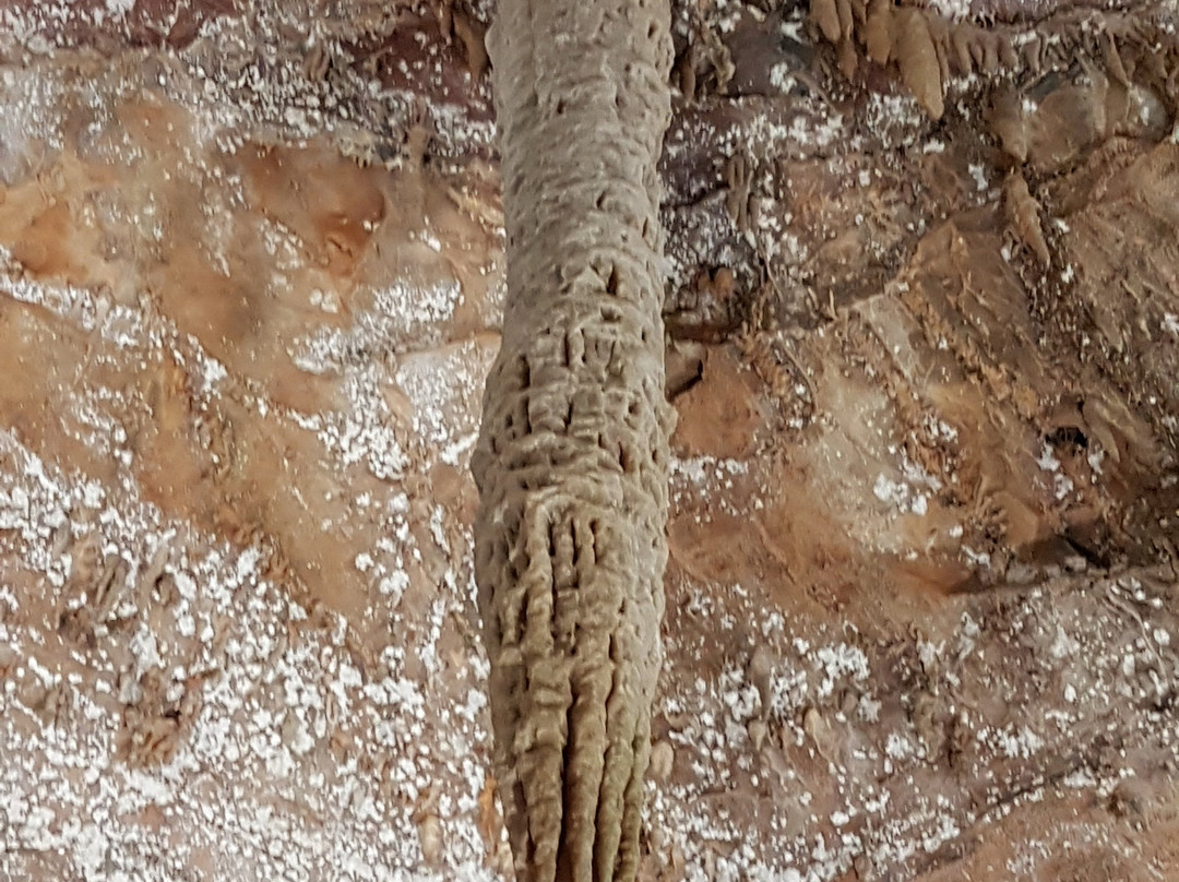 Rei Do Mato Cave-Sete Lagoas必去景点