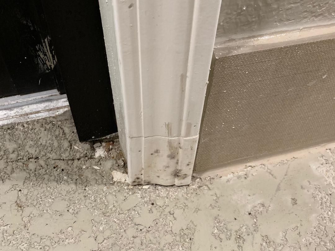 谢尔曼希尔顿恒庭酒店主图