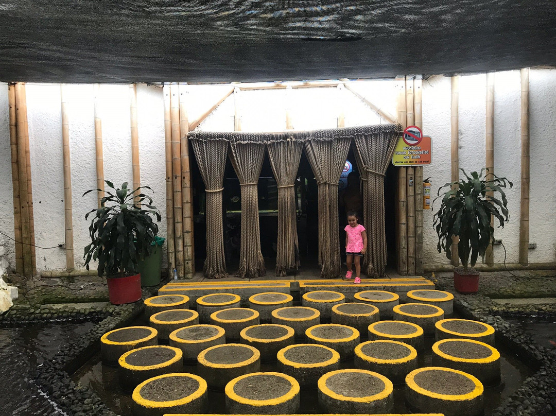 Parque Consota-佩雷拉必去景点