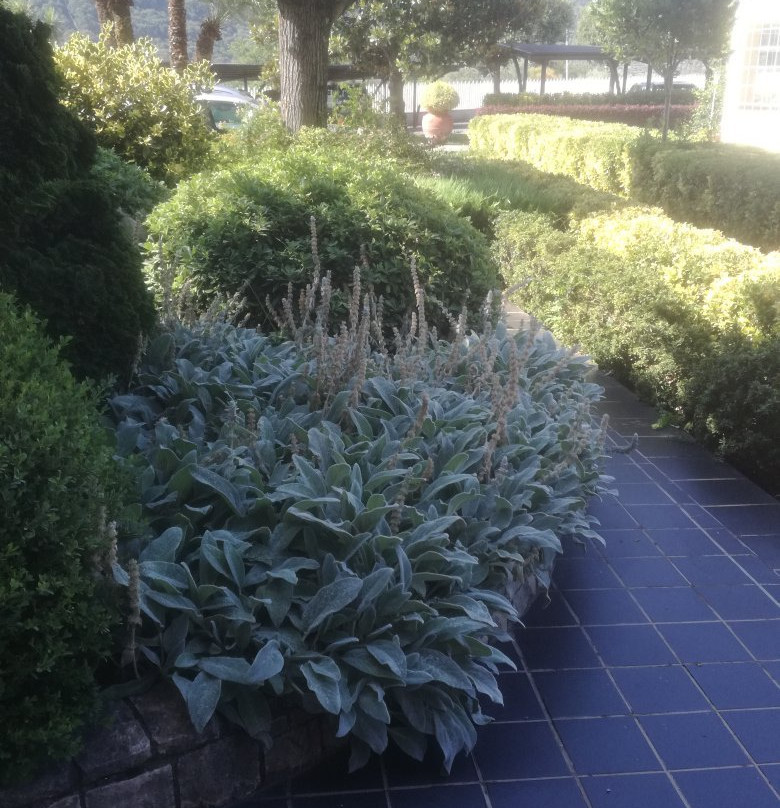 Sunny Palace Hotel主图