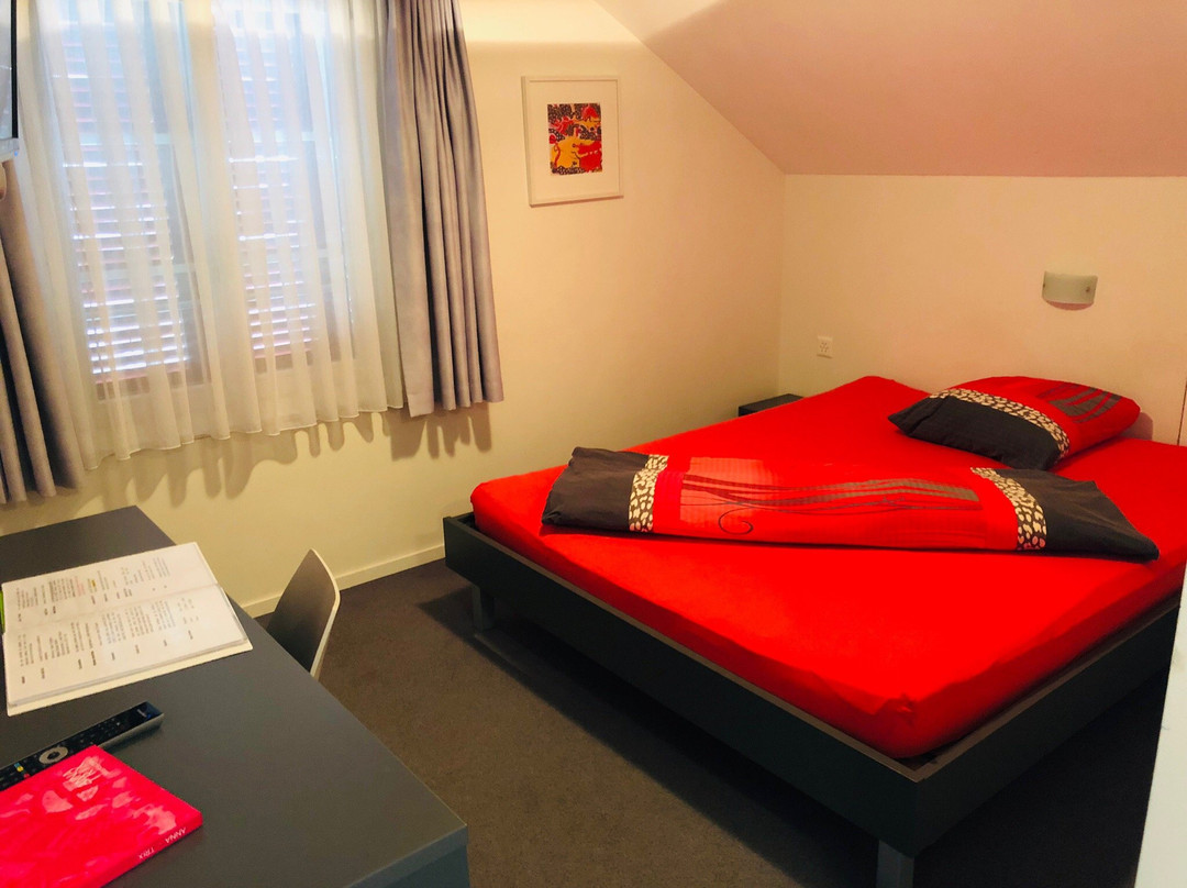 Hotel Krone主图