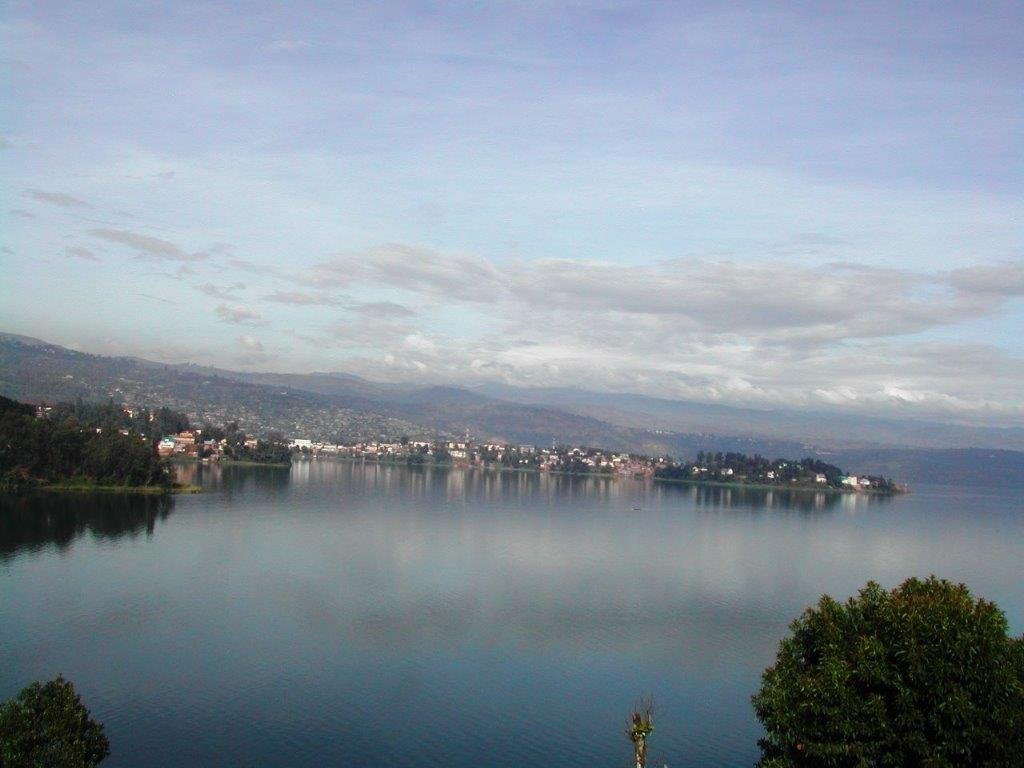 Orchids Safari Club主图