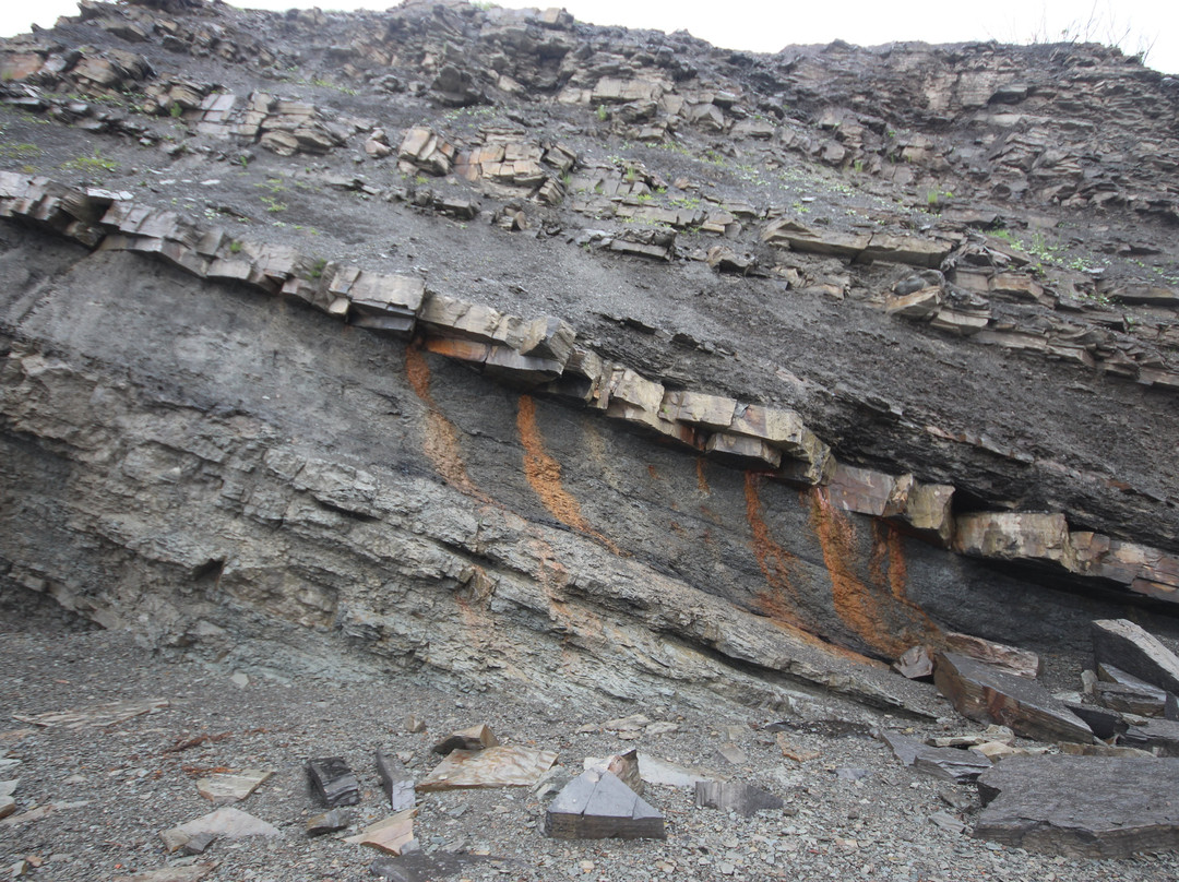 Joggins Fossil Cliffs Centre景点图片