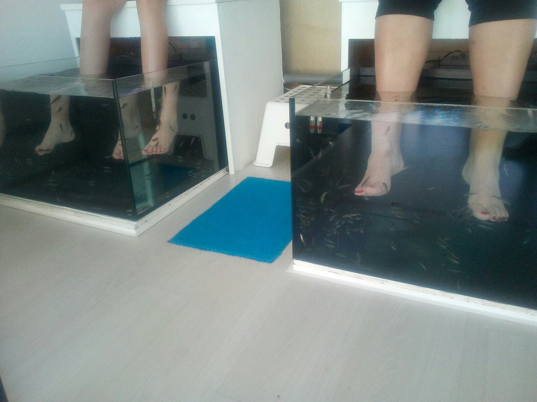 O' Fish Spa景点图片