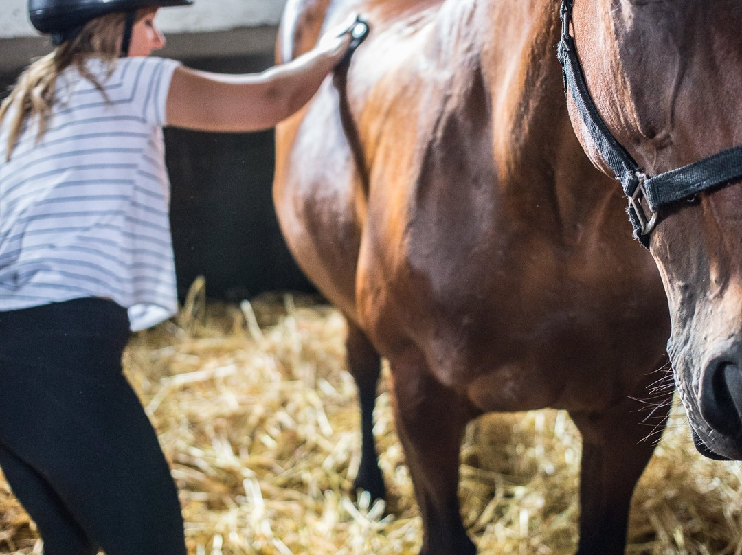 Dworek  Bielin主图