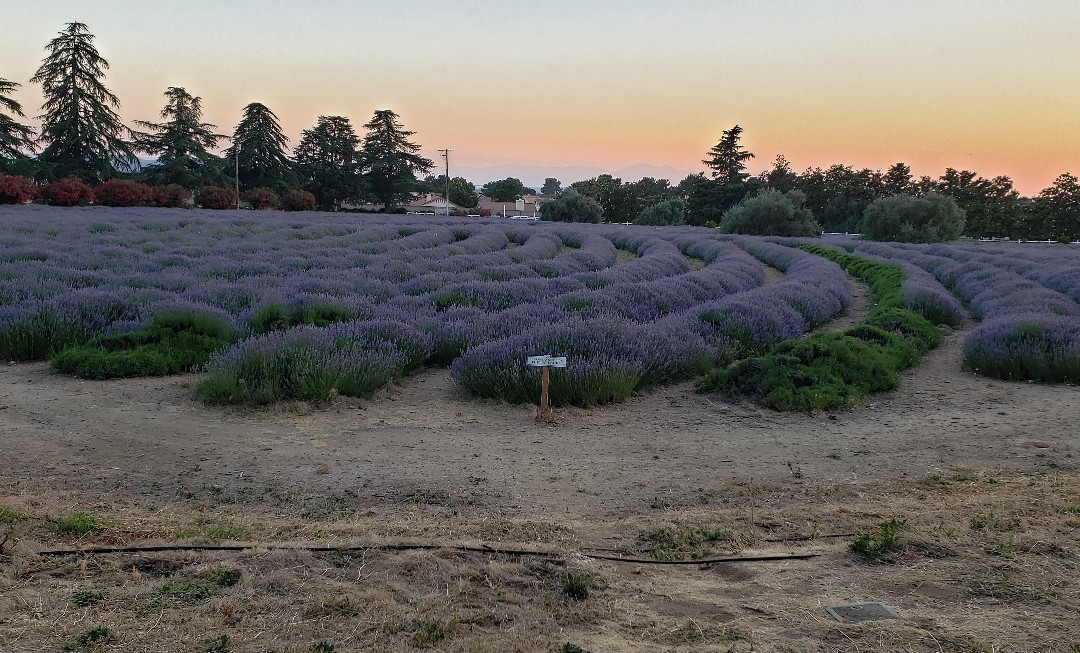 Highland Springs Resort and Conference Center主图