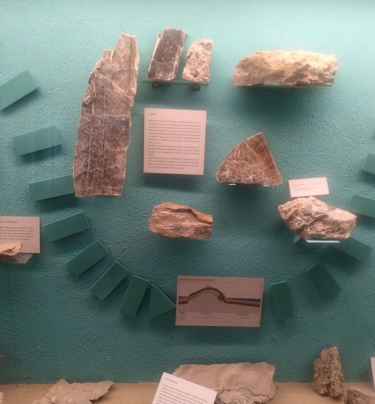 Museo Naturalistico ed Archeologico "Paolo Barrasso"景点图片