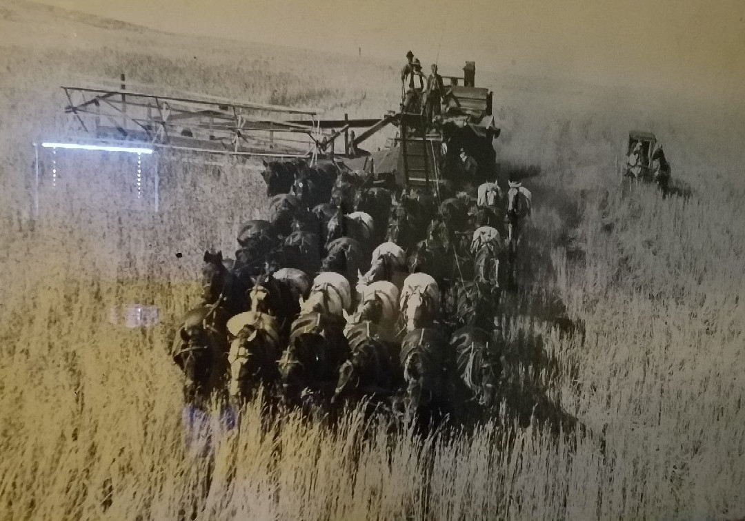 The Weinhard Hotel主图