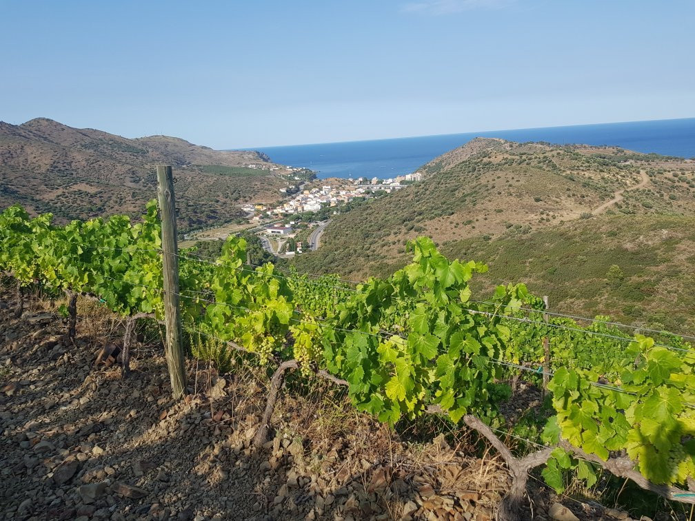 Celler Hugas de Batlle-Colera必去景点