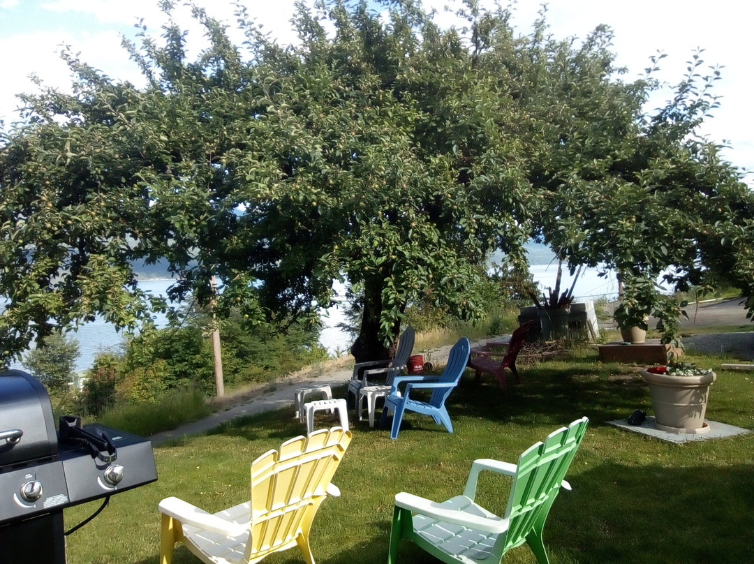 Ainsworth Motel主图