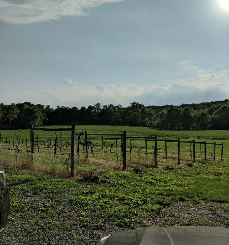Magnanini Farm Winery景点图片