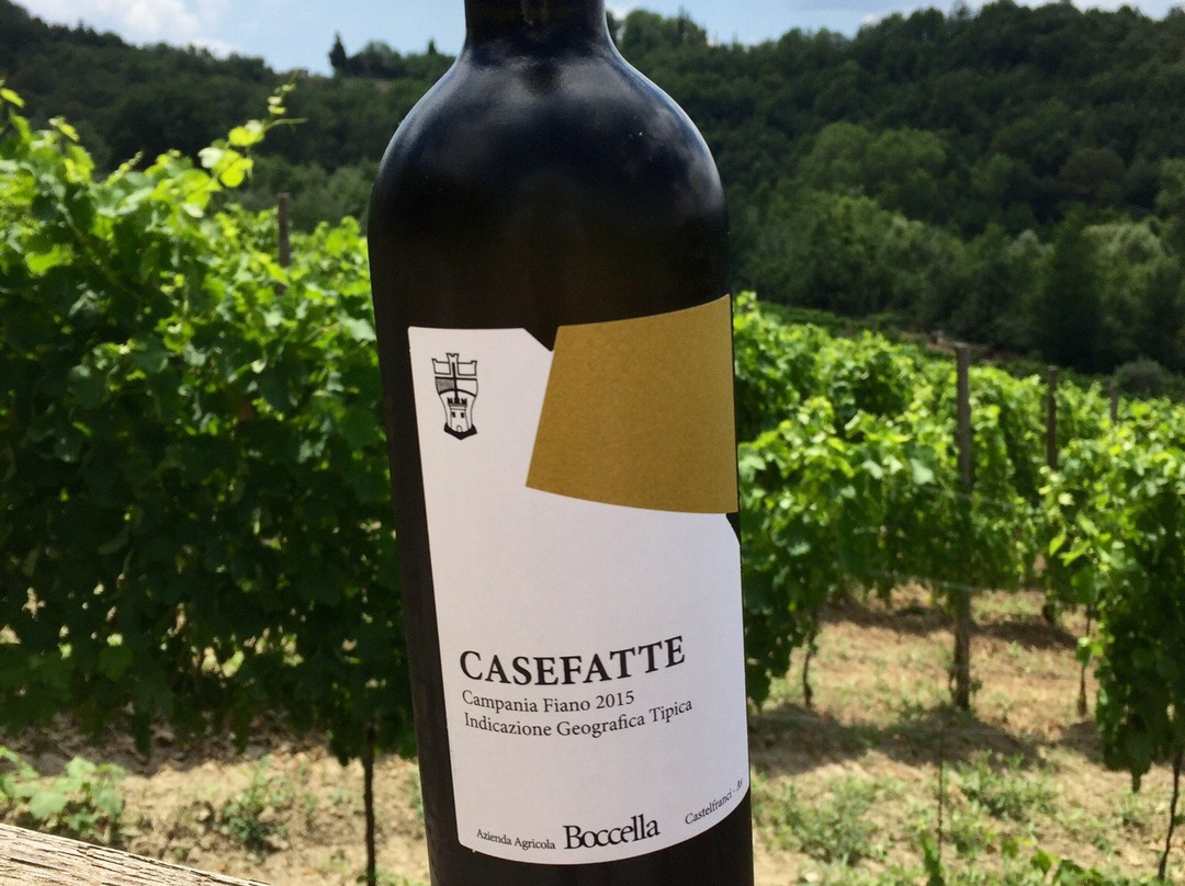 Azienda Agricola Boccella景点图片