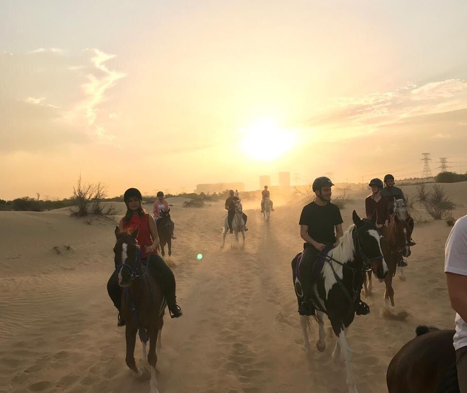 Pro Ride Stables-迪拜必去景点