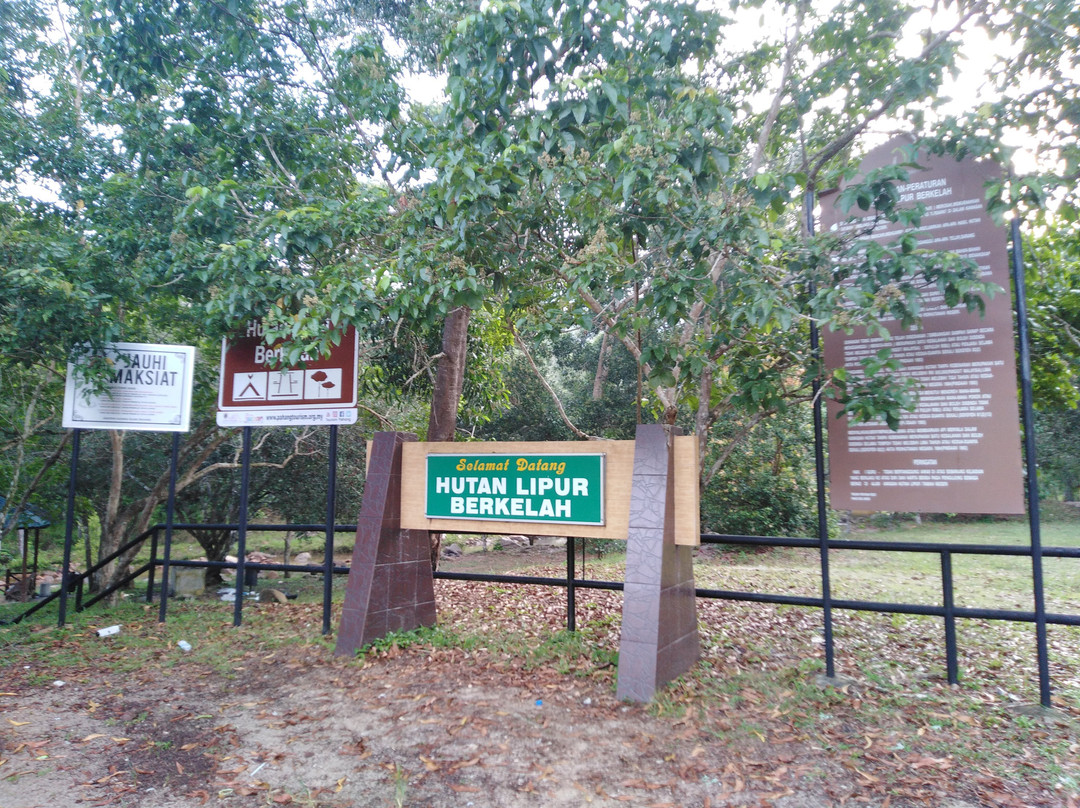 Berkelah Waterfall-马兰必去景点