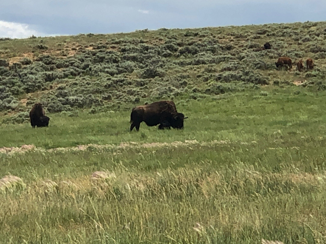 Bear River State Park-埃文斯顿必去景点