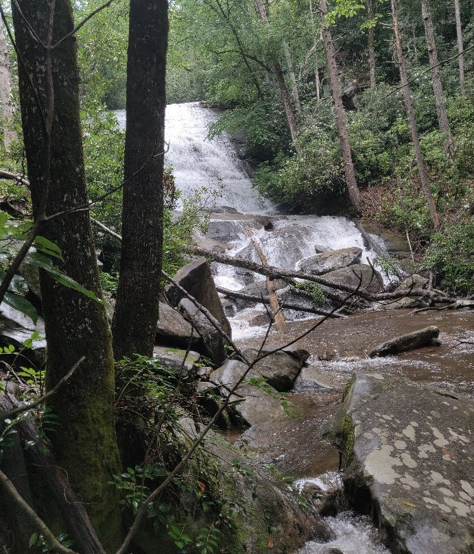 Cove Creek Falls景点图片